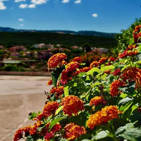 Aparthotel Casa Vacanze Li Canneddi *